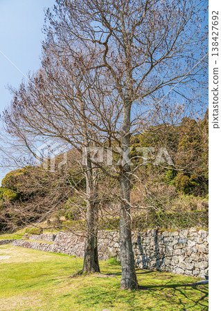 Azuchi Castle Ruins, Omihachiman City, Shiga Prefecture Azuchi Castle Ruins, Omihachiman City, Shiga Prefecture 138427692