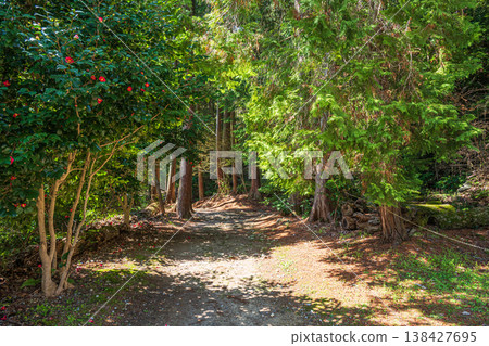 The wooded area at the site of Azuchi Castle, Omihachiman City, Shiga Prefecture 138427695