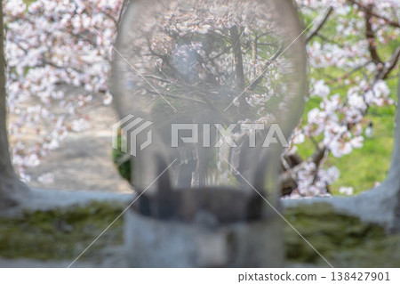 A white watchtower floating on a sea of cherry blossoms, a spring scene in Kibi Province. A white watchtower floating on a sea of cherry blossoms, a spring scene in Kibi Province. 138427901