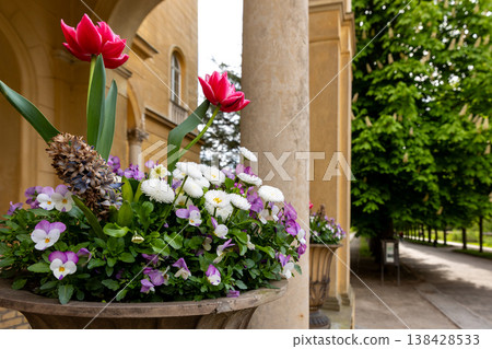 Vibrant tulip rises daisies pansies stone flower pot classical column arch. Spring garden path trees sunlight soft bokeh creates tranquil botanical scenery with color, depth and elegant architecture 138428533