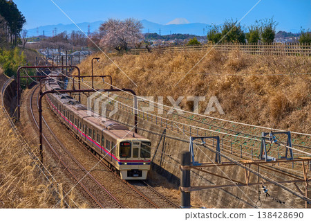 春天，在東京稻木市，可以看到富士山和梅花，以及京王鐵道。 138428690