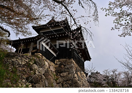 春天的郡山城 138428716