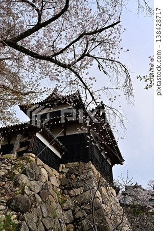 春天的郡山城 138428717