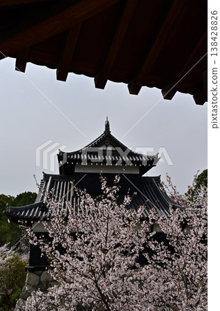 Koriyama Castle in Spring Koriyama Castle in Spring 138428826