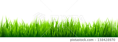 Meadow silhouette with green grass, plants on plain. Panoramic summer lawn landscape with herbs, various weeds. Herbal border, frame element. Black horizontal banners. Vector illustration Meadow silhouette with green grass, plants on plain. Panoramic summer lawn landscape with herbs, various weeds. Herbal border, frame element. Black horizontal banners. Vector illustration 138428970