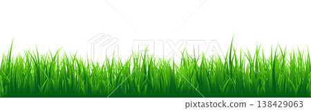 Meadow silhouette with green grass, plants on plain. Panoramic summer lawn landscape with herbs, various weeds. Herbal border, frame element. Black horizontal banners. Vector illustration 138429063