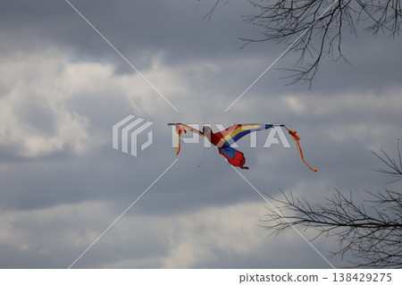 一隻鳥形風箏在陰雲密佈的天空中飛翔的景象。 一隻鳥形風箏在陰雲密佈的天空中飛翔的景象。 138429275