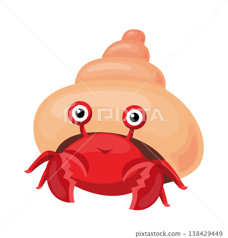 Cute Hermit Crab Cartoon Vector Illustration 138429449