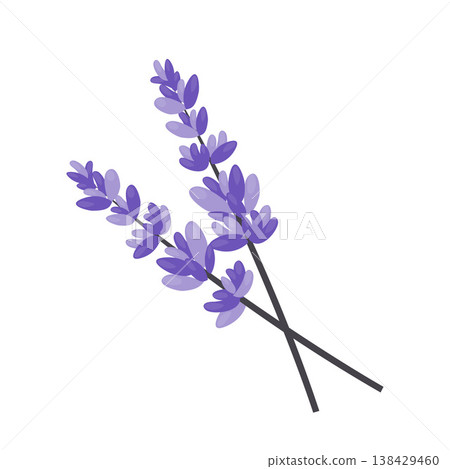 Plant Floral Lavender Cartoon Vector Illustration Plant Floral Lavender Cartoon Vector Illustration 138429460