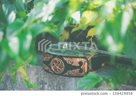 Okinawan sanshin in the greenery Okinawan sanshin in the greenery 138429956
