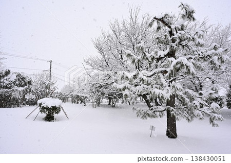 被白雪覆蓋的日式庭園（新潟縣新潟市） 138430051