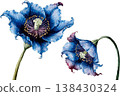 Exquisite Watercolor Blue Poppy Flowers Illustration 138430324