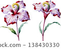 Watercolor Illustration of Exotic Purple and Red Flowers 138430330