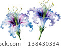 Watercolor Illustration of Two Vibrant Purple and Blue Lily Flowers 138430334