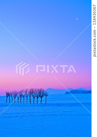 晨曦中,白雪皚皚的歐芹樹,越後三山的冬日美景 晨曦中,白雪皚皚的歐芹樹,越後三山的冬日美景 138430367