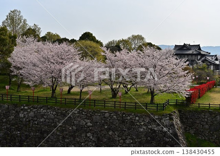 Koriyama Castle in Spring 138430455