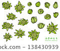 用畫筆描繪的蜂斗菜 - 顏色 138430939