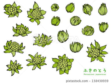 用畫筆描繪的蜂斗菜 - 顏色 用畫筆描繪的蜂斗菜 - 顏色 138430939
