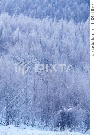 Winter scenery of Biei and Furano enveloped in frost: A fantastical snowscape of Hokkaido. 138431050
