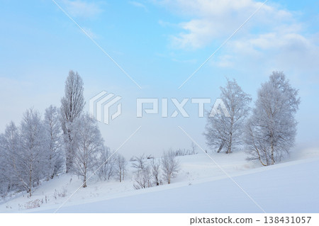 Winter scenery of Biei and Furano enveloped in frost: A fantastical snowscape of Hokkaido. 138431057