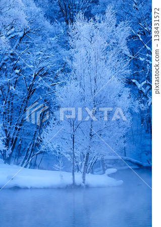 Torinuma Park, enveloped in frost and sea fog, presents a fantastical winter scene in Furano, Hokkaido. 138431572