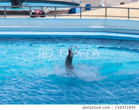 南道多海灘樂園 2026 138431695