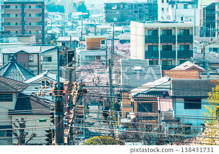 Cherry blossoms bloom beyond the railway tracks—an ordinary scene you could find anywhere. Cherry blossoms bloom beyond the railway tracks—an ordinary scene you could find anywhere. 138431731
