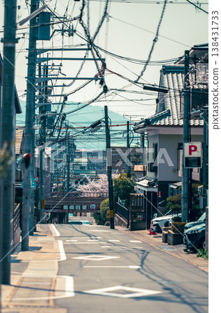 Cherry blossoms blooming in an ordinary town, railways and roads beneath elevated tracks are part of the everyday scenery. Cherry blossoms blooming in an ordinary town, railways and roads beneath elevated tracks are part of the everyday scenery. 138431733