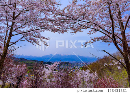 Hanamiyama in the full bloom of spring, a panoramic view of a paradise where colorful cherry blossoms and other flowers adorn the mountain. Hanamiyama in the full bloom of spring, a panoramic view of a paradise where colorful cherry blossoms and other flowers adorn the mountain. 138431881