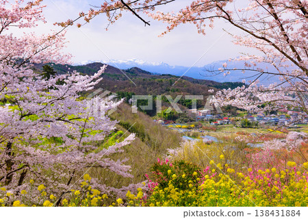 Hanamiyama in the full bloom of spring, a panoramic view of a paradise where colorful cherry blossoms and other flowers adorn the mountain. 138431884