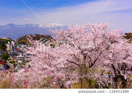 Hanamiyama in the full bloom of spring, a panoramic view of a paradise where colorful cherry blossoms and other flowers adorn the mountain. 138431890