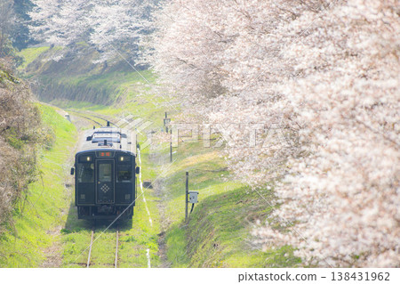 櫻花樹和「黑銀」（平成築峰鐵道） 138431962