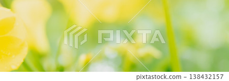 Abstract photo of a natural yellow and green bokeh background. The completely out-of-focus plants and golden light spots create a soft, ethereal floral tapestry Abstract photo of a natural yellow and green bokeh background. The completely out-of-focus plants and golden light spots create a soft, ethereal floral tapestry 138432157
