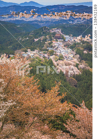 吉野山的櫻花將山巒裝點成絢麗的色彩,使其成為日本最著名的春季景點之一。 吉野山的櫻花將山巒裝點成絢麗的色彩,使其成為日本最著名的春季景點之一。 138432169