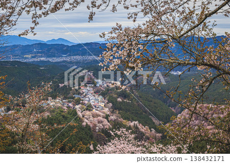吉野山上的櫻花和飄落的花瓣:這是日本典型的春季景象。 吉野山上的櫻花和飄落的花瓣:這是日本典型的春季景象。 138432171