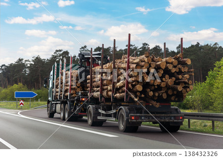Back view many long heavy industrial wood carrier cargo vessel truck trailer with big timber pine, spruce, cedar driving on highway road with blue sky background. Timber export and shipping concept Back view many long heavy industrial wood carrier cargo vessel truck trailer with big timber pine, spruce, cedar driving on highway road with blue sky background. Timber export and shipping concept 138432326