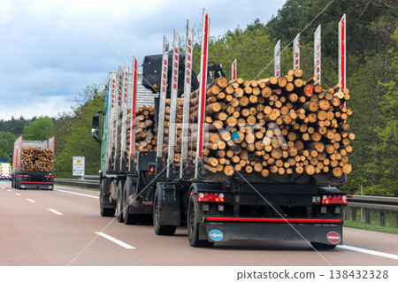 Back view many long heavy industrial wood carrier cargo vessel truck trailer with big timber pine, spruce, cedar driving on highway road with blue sky background. Timber export and shipping concept Back view many long heavy industrial wood carrier cargo vessel truck trailer with big timber pine, spruce, cedar driving on highway road with blue sky background. Timber export and shipping concept 138432328