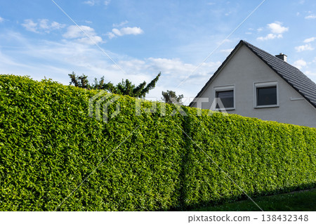 Dense green hedge natural privacy barrier suburban property house roof windows behind foliage. Bright summer sky trimmed vegetation calm residential environment peaceful outdoor neighborhood scene Dense green hedge natural privacy barrier suburban property house roof windows behind foliage. Bright summer sky trimmed vegetation calm residential environment peaceful outdoor neighborhood scene 138432348