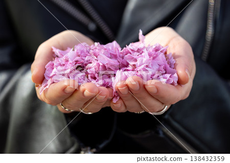Hands holding delicate pink sakura petals gathered blooming cherry tree symbolizing spring beauty fragile nature. Soft floral texture pastel colors create calm seasonal mood gentle hanami atmosphere Hands holding delicate pink sakura petals gathered blooming cherry tree symbolizing spring beauty fragile nature. Soft floral texture pastel colors create calm seasonal mood gentle hanami atmosphere 138432359