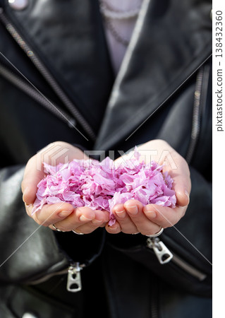 Hands holding delicate pink sakura petals gathered blooming cherry tree symbolizing spring beauty fragile nature. Soft floral texture pastel colors create calm seasonal mood gentle hanami atmosphere Hands holding delicate pink sakura petals gathered blooming cherry tree symbolizing spring beauty fragile nature. Soft floral texture pastel colors create calm seasonal mood gentle hanami atmosphere 138432360