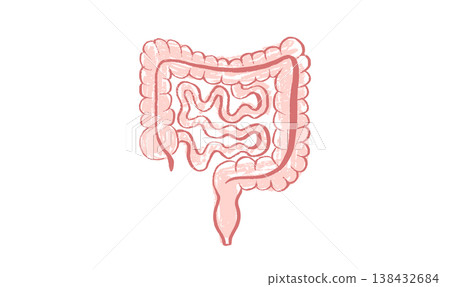 Human intestine sketch Human intestine sketch 138432684