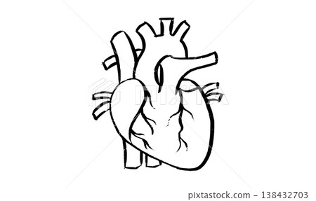 Human heart icon 138432703