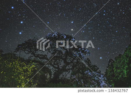 星空下的冰太郎櫻花:奈良隱密瑰寶中的春日星空美景 星空下的冰太郎櫻花:奈良隱密瑰寶中的春日星空美景 138432767