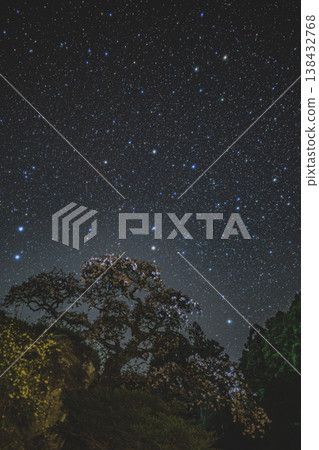 在奈良群山寧靜的星空下，冰太郎櫻花樹與天上的繁星一同閃耀。 138432768