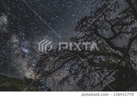 The Hyotaro Cherry Tree stands beside the Milky Way; a spring night encountered in a hidden gem of Nara. 138432770