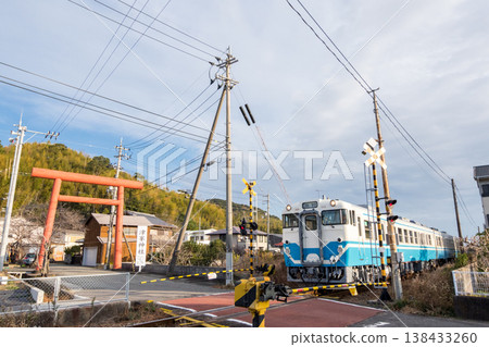 [Mugi Line] A local train passing by the torii gate of a shrine. 138433260
