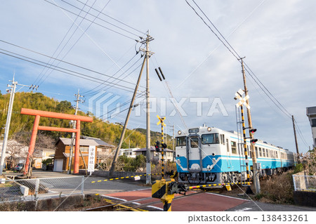 [Mugi Line] A local train passing by the torii gate of a shrine. 138433261