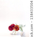 A vase of red ranunculus flowers stands out against a white background, complemented by ample vertical space. 138433504