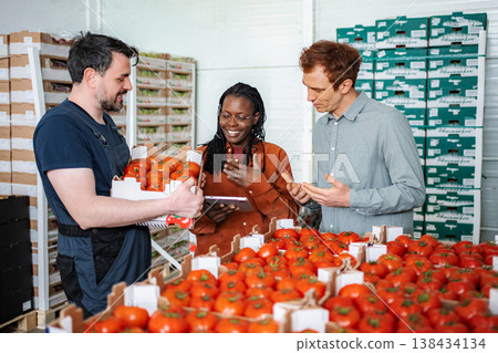 Fresh tomatoes delivery with agricultural workers discussing quality 138434134