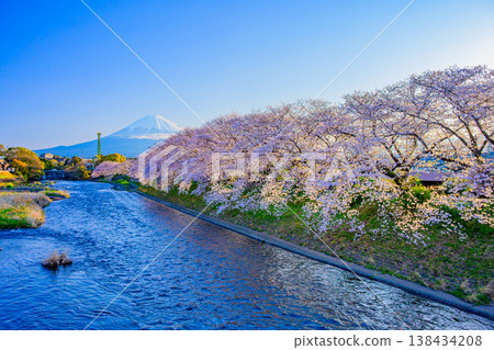 富士山與盛開的櫻花樹:靜岡縣富士市宇留川和龍岩淵的壯麗景色 富士山與盛開的櫻花樹:靜岡縣富士市宇留川和龍岩淵的壯麗景色 138434208